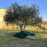 Le Nomade En Provence Frühstückspension Bouchet (Drome)