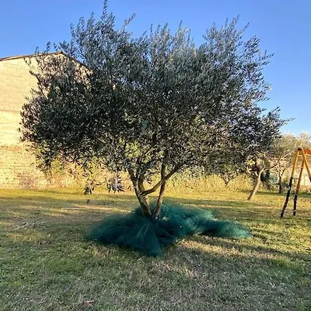 Le Nomade En Provence Panzió Bouchet