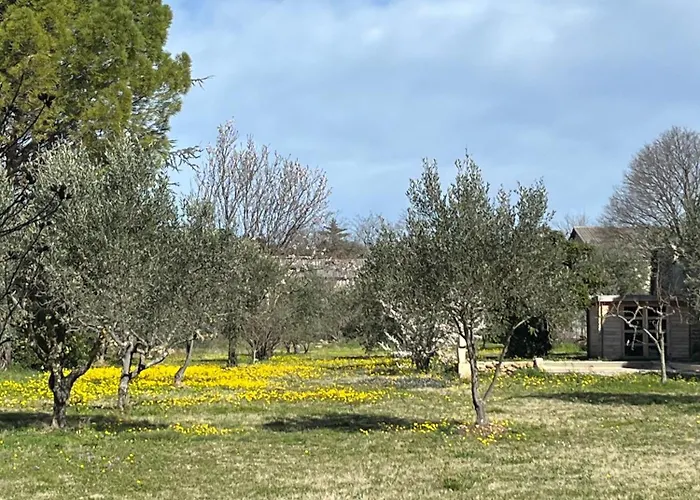 Frühstückspension Le Nomade En Provence 3*