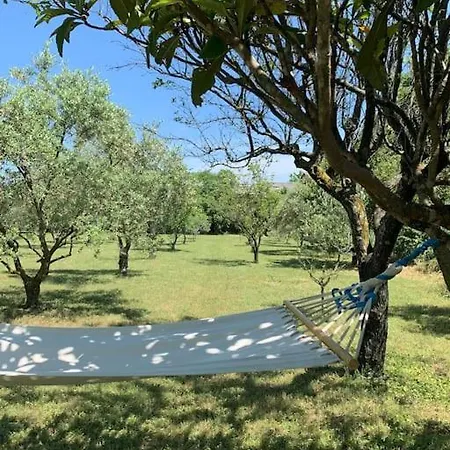 Bed & Breakfast Le Nomade En Provence *