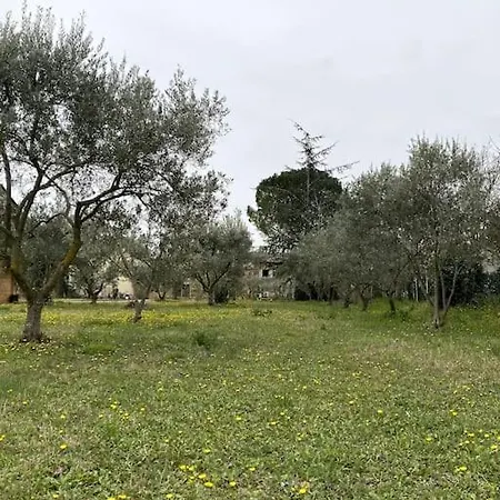 Bed & Breakfast Le Nomade En Provence *