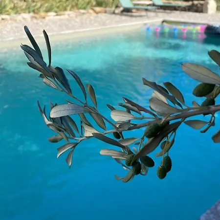 Bed & Breakfast Le Nomade En Provence Bouchet (Drome)